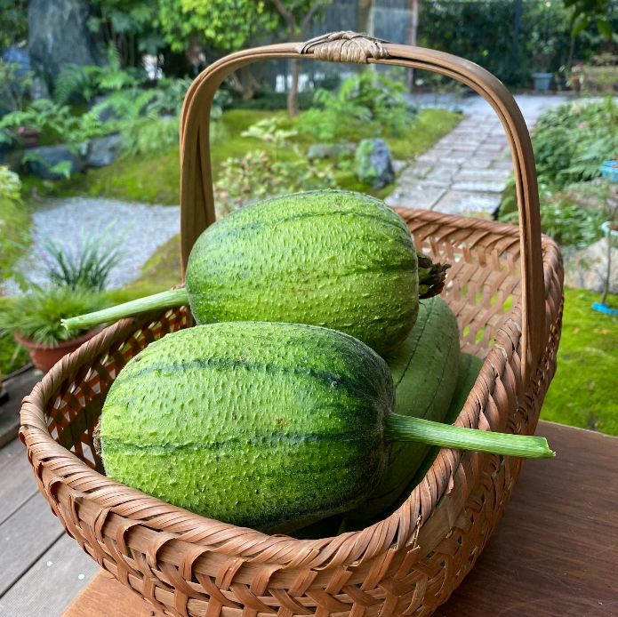Apple Luffa Seeds