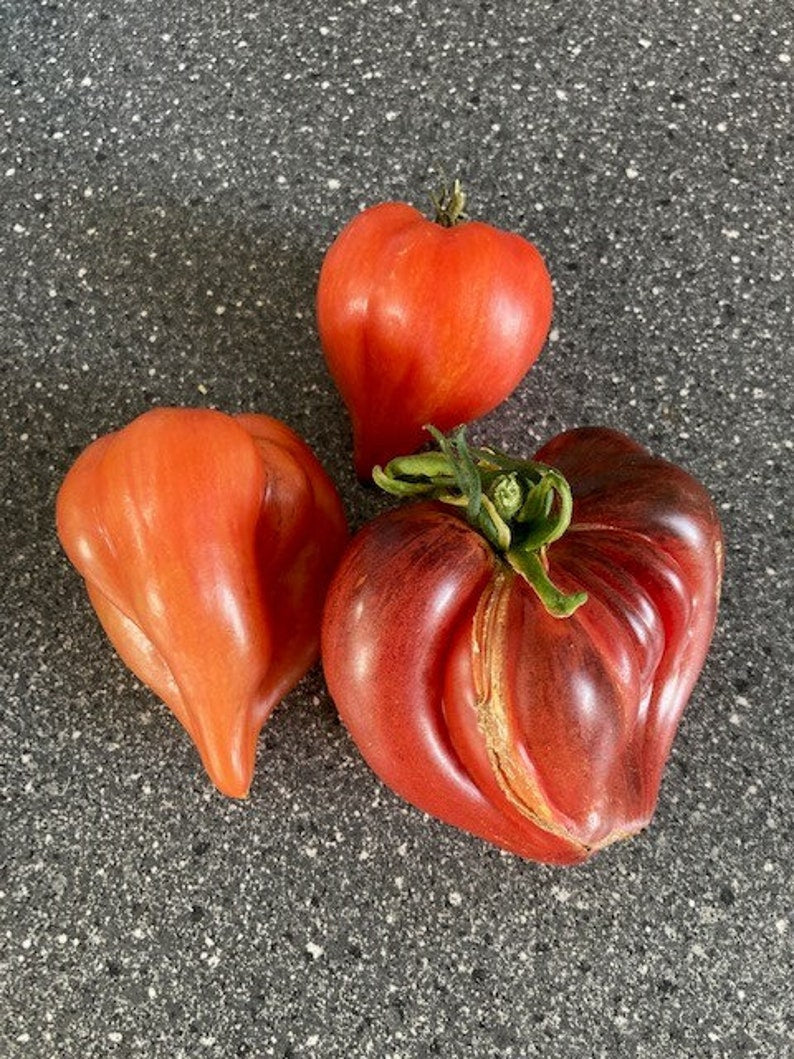 Crushed Heart Tomato Seeds Organic Heirloom Tomatoes
