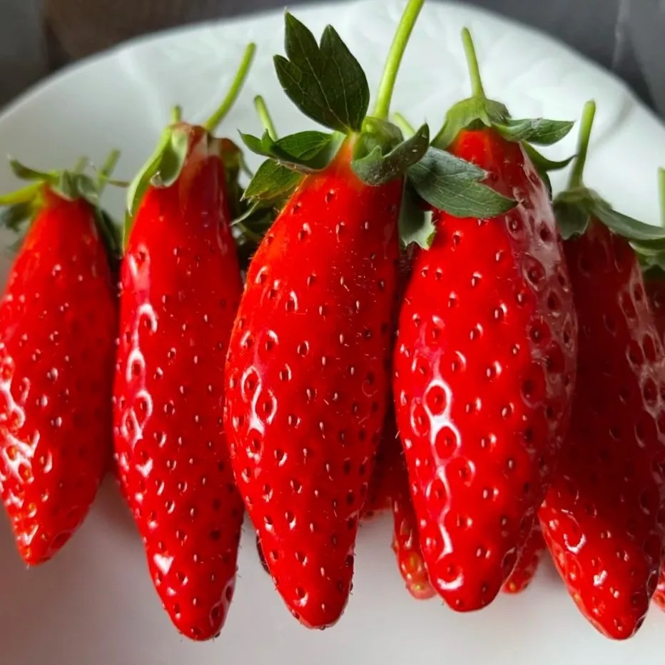 Rare Banana Strawberry Fruit Seeds