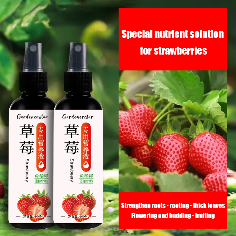 Strawberry-Specific No-Dilution Nutrient Solution 🍓🌿