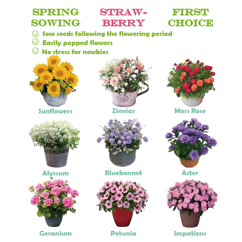 π± Monthly surprise planting box, start your green life! πΏ