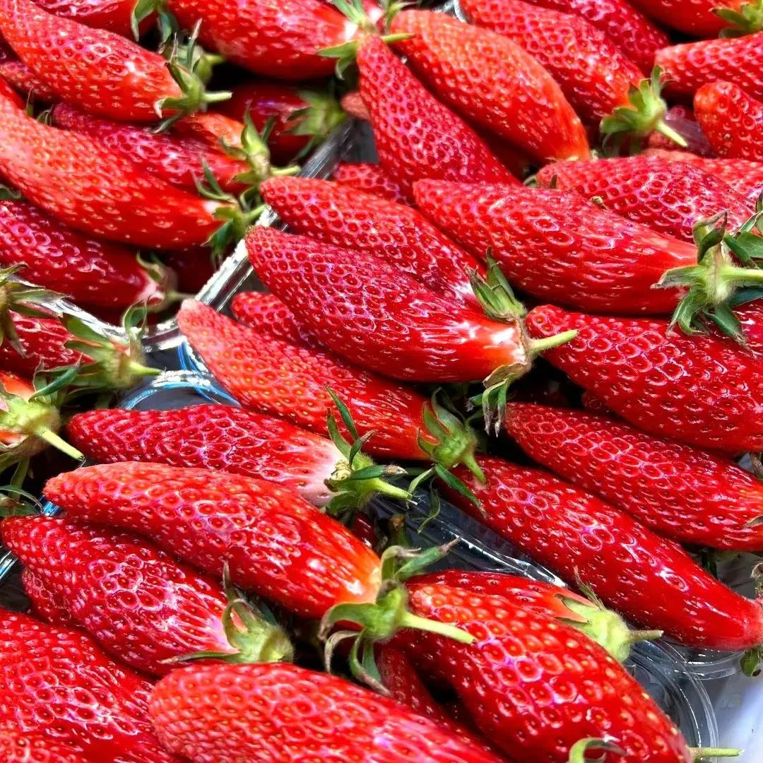 Rare Banana Strawberry Fruit Seeds