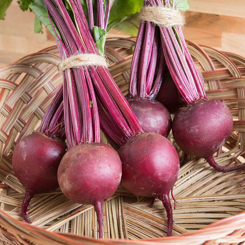 💞Beetroot Seeds