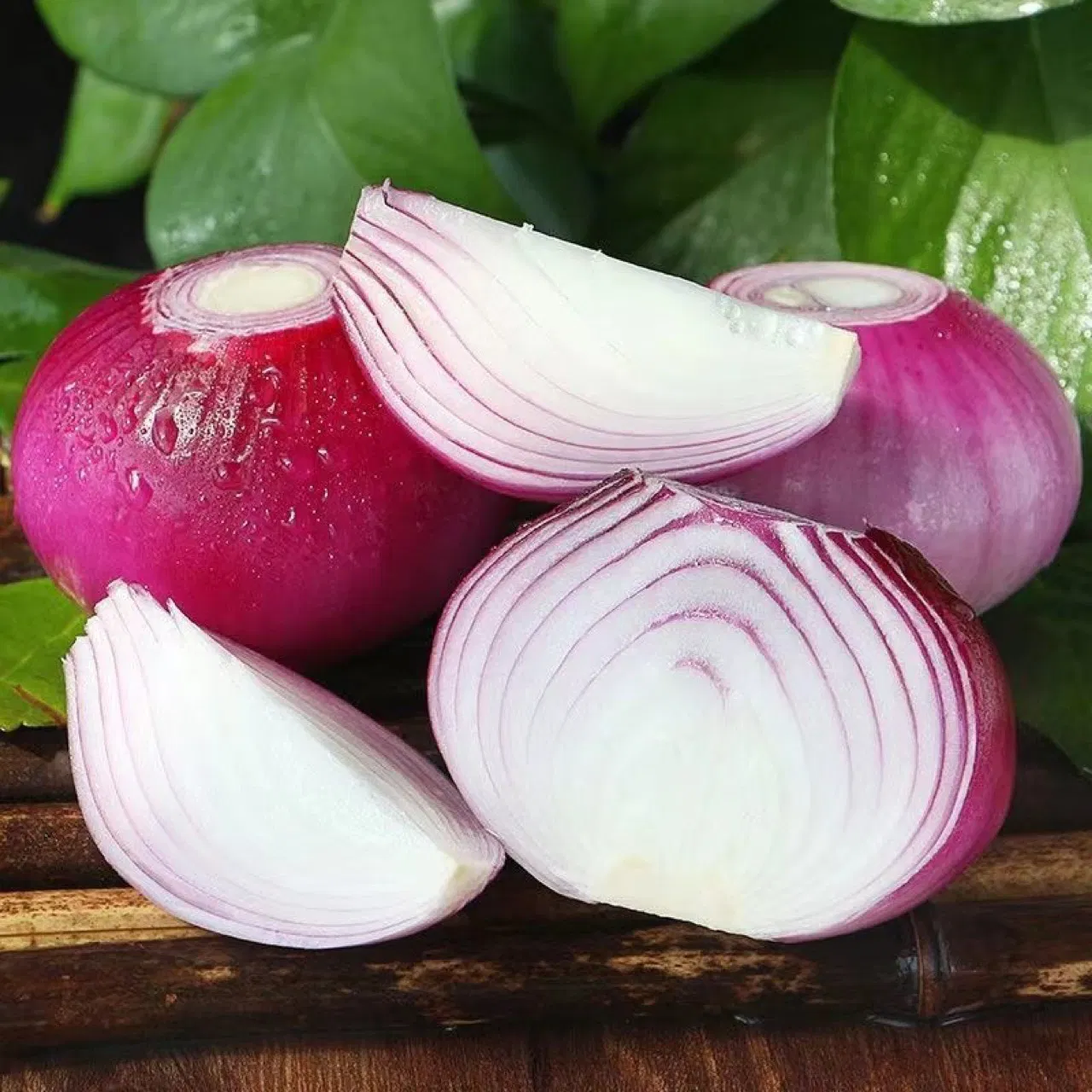 Organic Purple Onions – Fresh, Flavorful, and Full of Benefits! 🌱