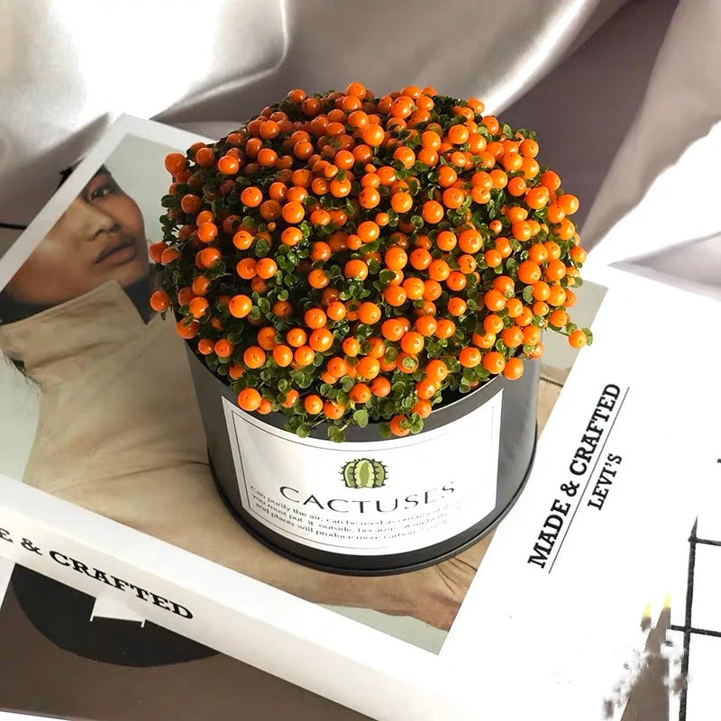 Pearl Orange Succulent Potted Plant
