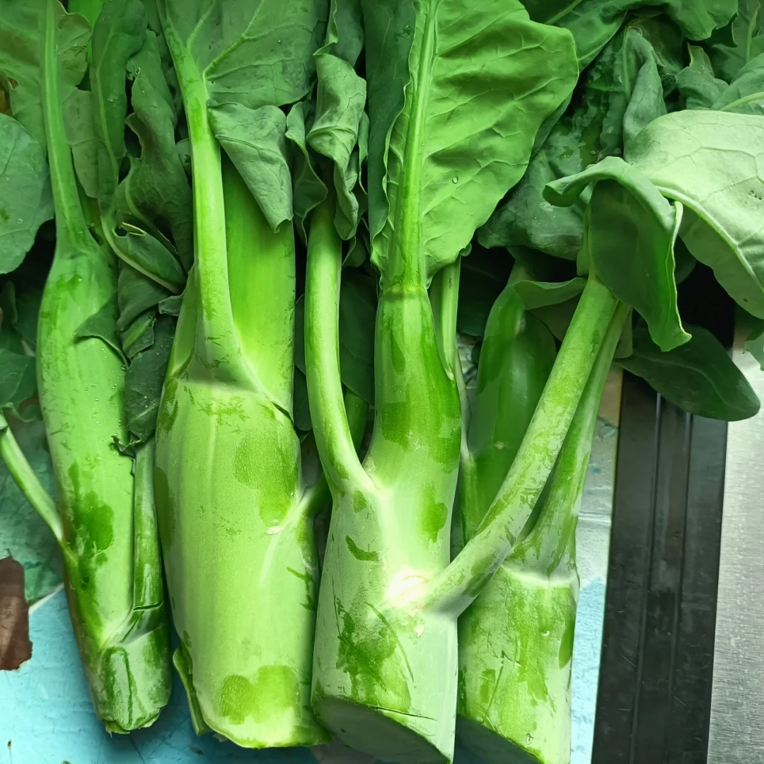 Chicken Leg Kale Seeds
