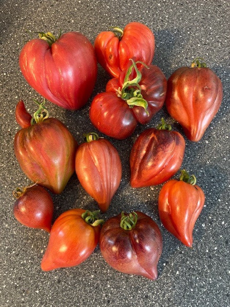 Crushed Heart Tomato Seeds Organic Heirloom Tomatoes