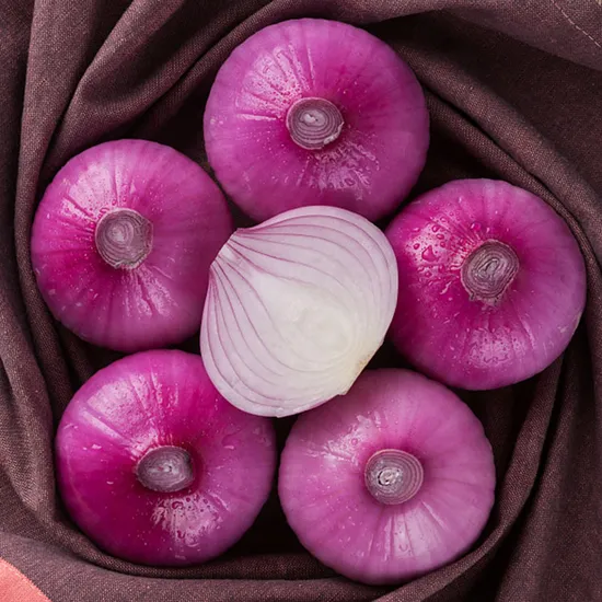 Organic Purple Onions – Fresh, Flavorful, and Full of Benefits! 🌱