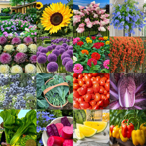 π± Monthly surprise planting box, start your green life! πΏ