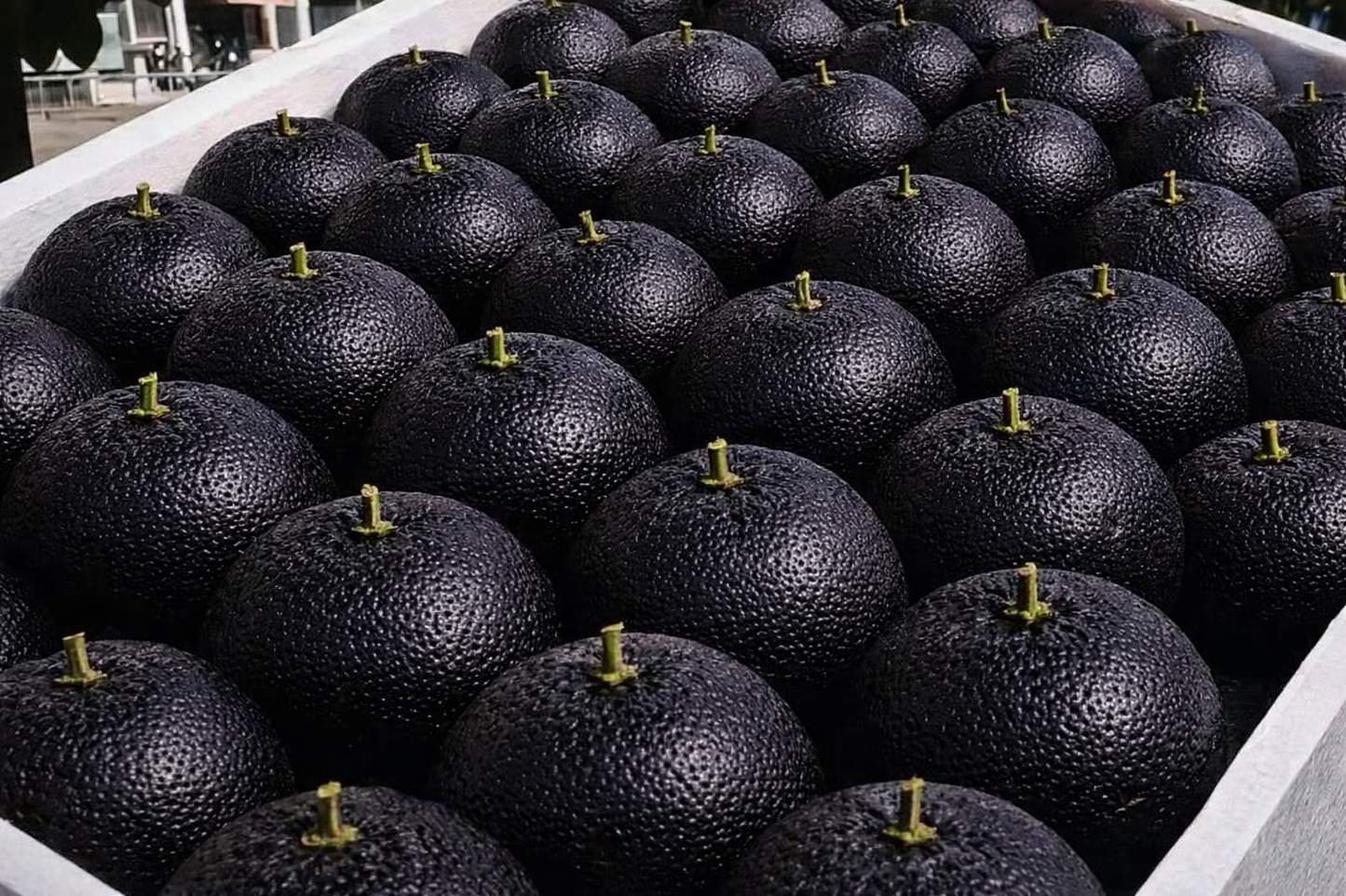 Giant Black Diamond Orange Seeds – Sweet, delicious, nutritious, and easy to grow at home.