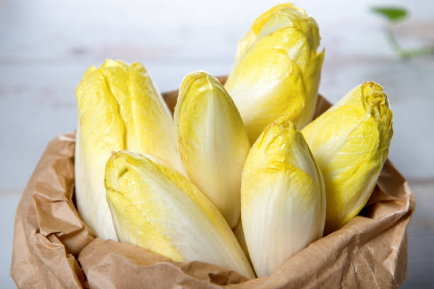 Fresh Belgian Endive