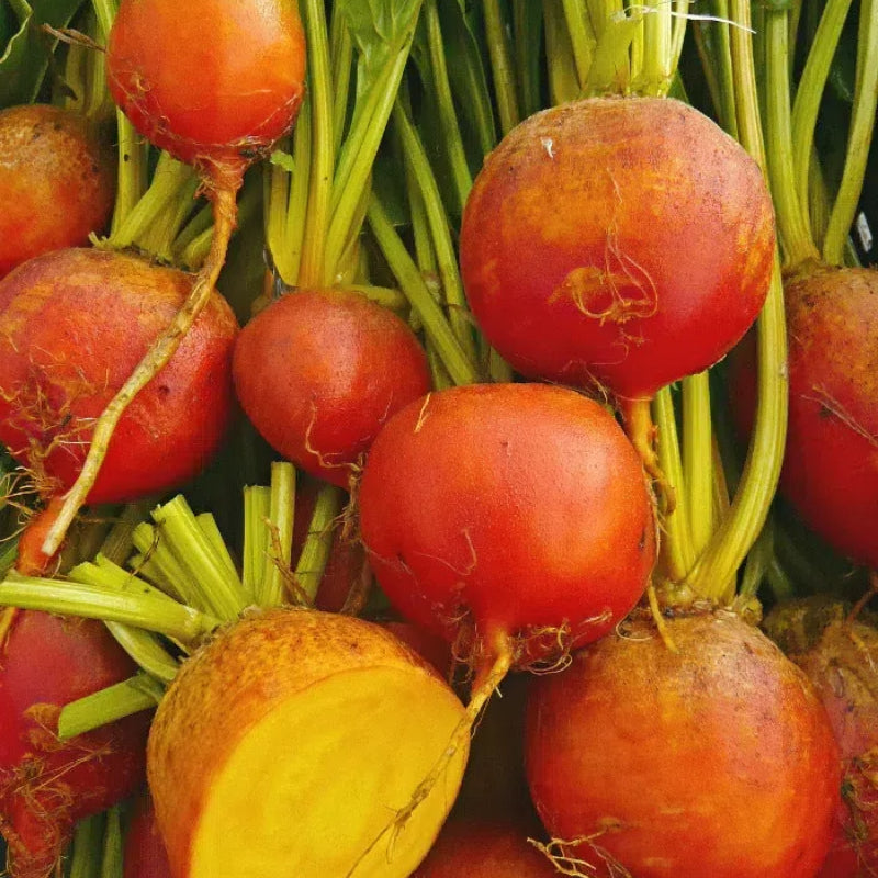 💞Beetroot Seeds