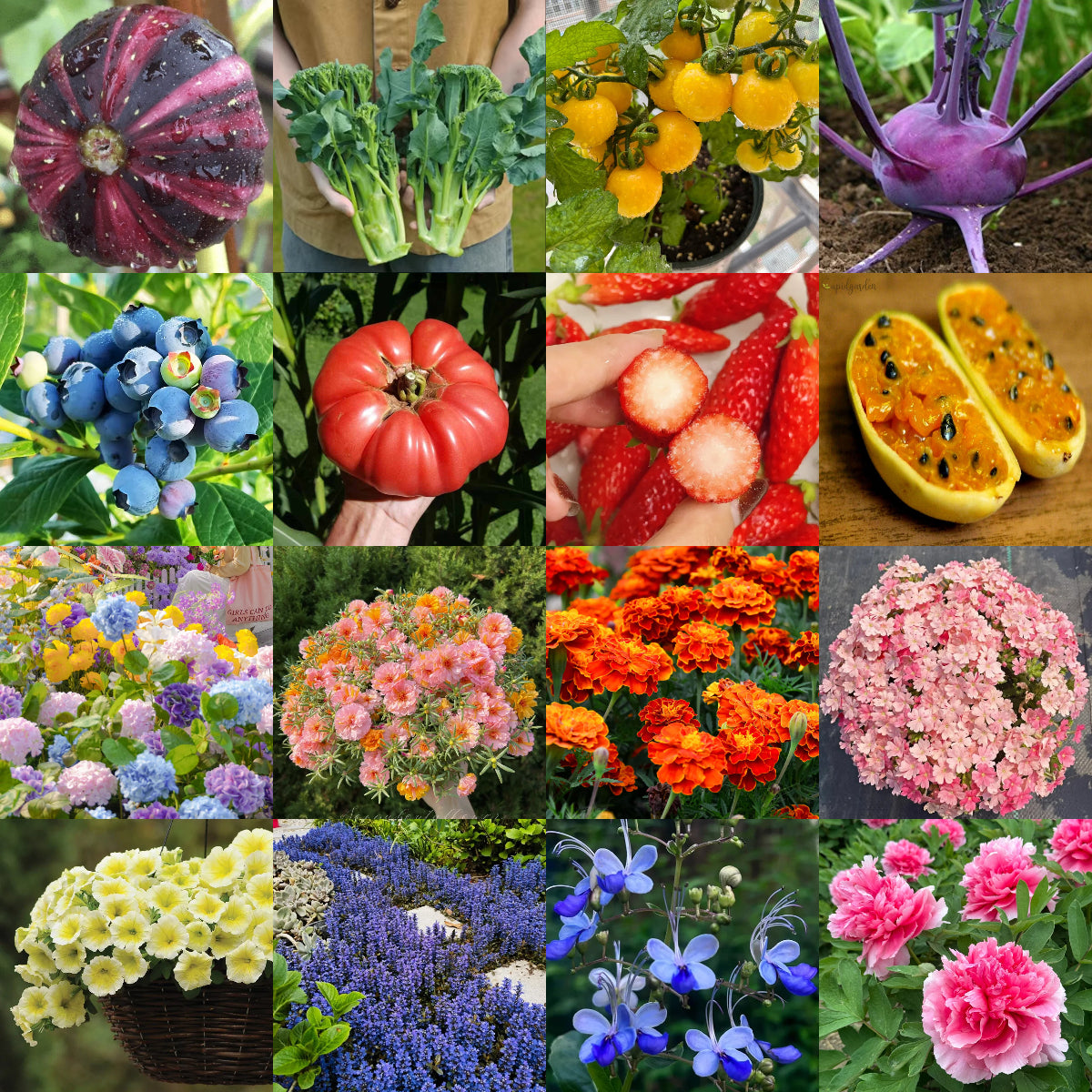 π± Monthly surprise planting box, start your green life! πΏ