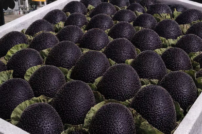 🥝Black Diamond Ruby Kiwi Seeds – Sweet, Nutrient-Rich & Easy to Grow at Home