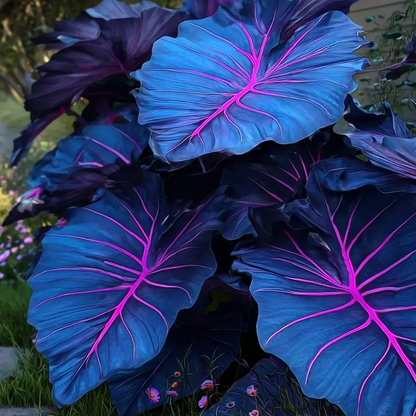 🌿Garden Favorite Hosta Bulbs – Lush Foliage, Shade-Loving Perennial Garden Plants🪴