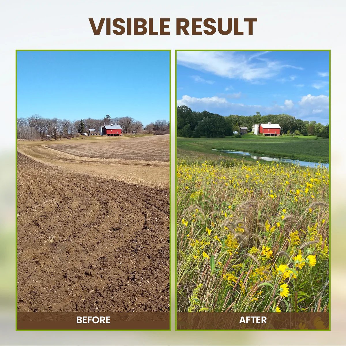 Soil Activator: Plants' Best Friend - Rejuvenate Your Plants