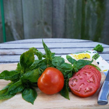 Garden Treasure Tomatoes