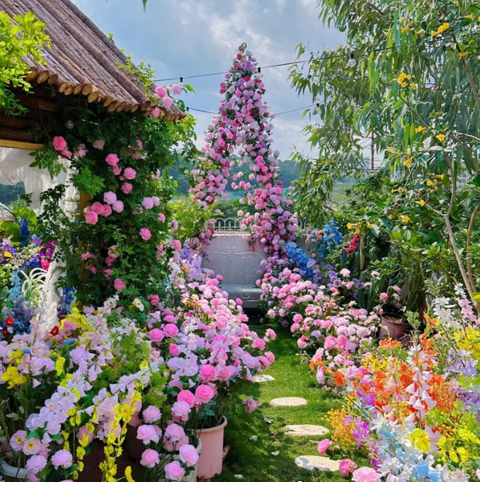 Spring Promotion 49% OFF - 🌱Climbing Rose Seeds