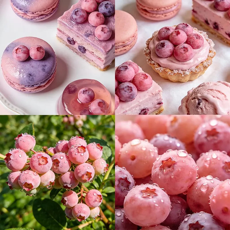 🔥 Rare Pink Blueberry (Potted plant)