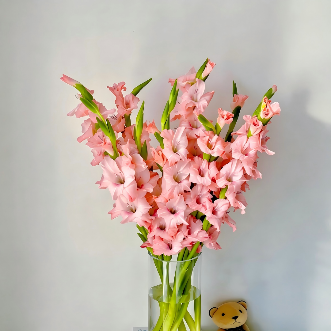 Gladiolus Bulbs-Florist-Quality Blooms•Elegant Cut Flowers