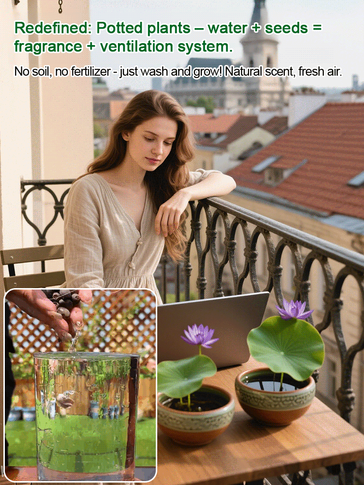 🌸LAST DAY Promotion 35% OFF🌸 Hydroponic Lotus 🌸 | Fresh, Simple & Beautiful(🌱Survival Guaranteed: Free Replacements🌿)
