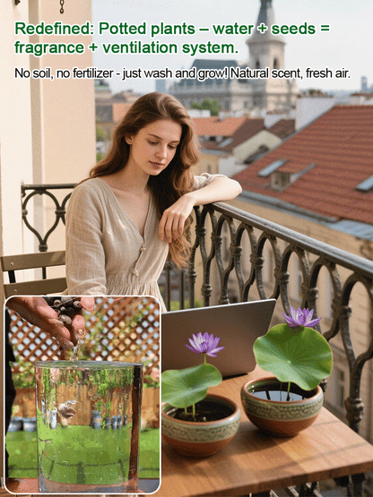 🌸LAST DAY Promotion 35% OFF🌸 Hydroponic Lotus 🌸 | Fresh, Simple & Beautiful(🌱Survival Guaranteed: Free Replacements🌿)