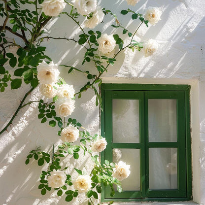 🌹 Rare Climbing Rose Seeds –  Fast-Growing Fragrant Blooming Vines