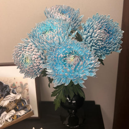 Eternal Bloom Chrysanthemum Seeds – Symbol of Longevity & Good Fortune
