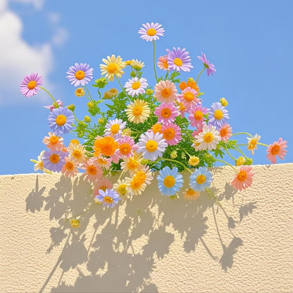 Pyrethrum Seeds – Grow Your Own Mosquito-Free Garden This Summer 🌿