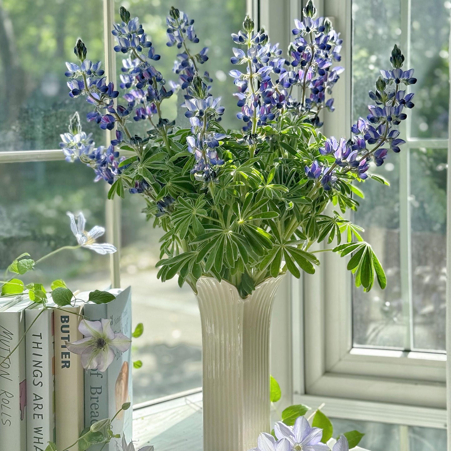Premium Lupine Flower Seeds – Vibrant Rainbow Spikes, Easy to Grow, Perennial Garden Beauty 🌿