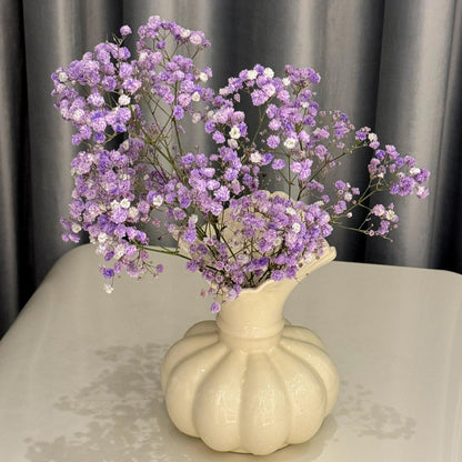 Grow a Starry Garden at Home – Premium Baby’s Breath Seeds