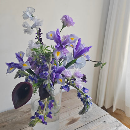 Premium Lupine Flower Seeds – Vibrant Rainbow Spikes, Easy to Grow, Perennial Garden Beauty 🌿