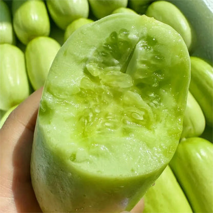 🥒Jade Maiden Cucumber - Sweet, Crispy and Refreshing