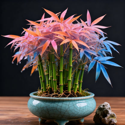 🌿 DreamBamboo Bulbs— Multi-Color Lucky Bamboo Cypress