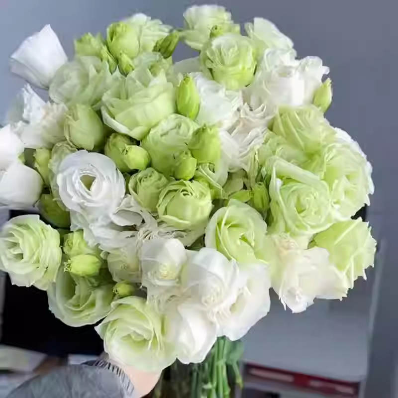 🔥53%OFF Mixed-Color Lisianthus 💥Best selling in 2026