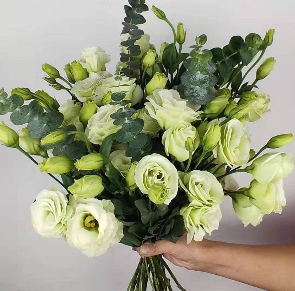 🔥53%OFF Mixed-Color Lisianthus 💥Best selling in 2026