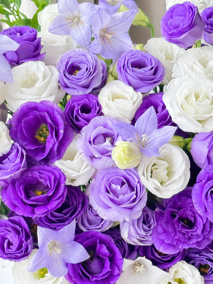 💐Lisianthus – Timeless Beauty, Everlasting Love💫