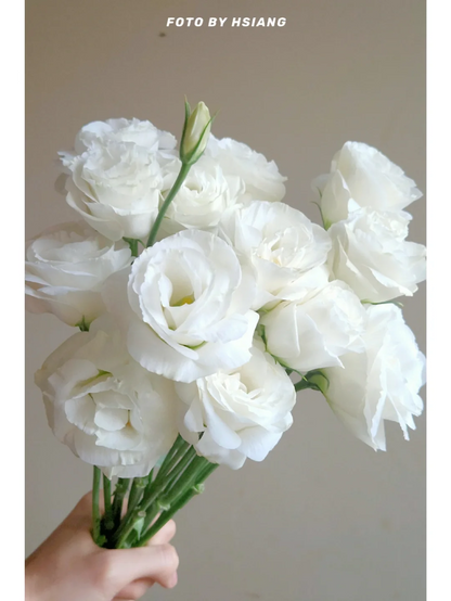 💐Lisianthus – Timeless Beauty, Everlasting Love💫