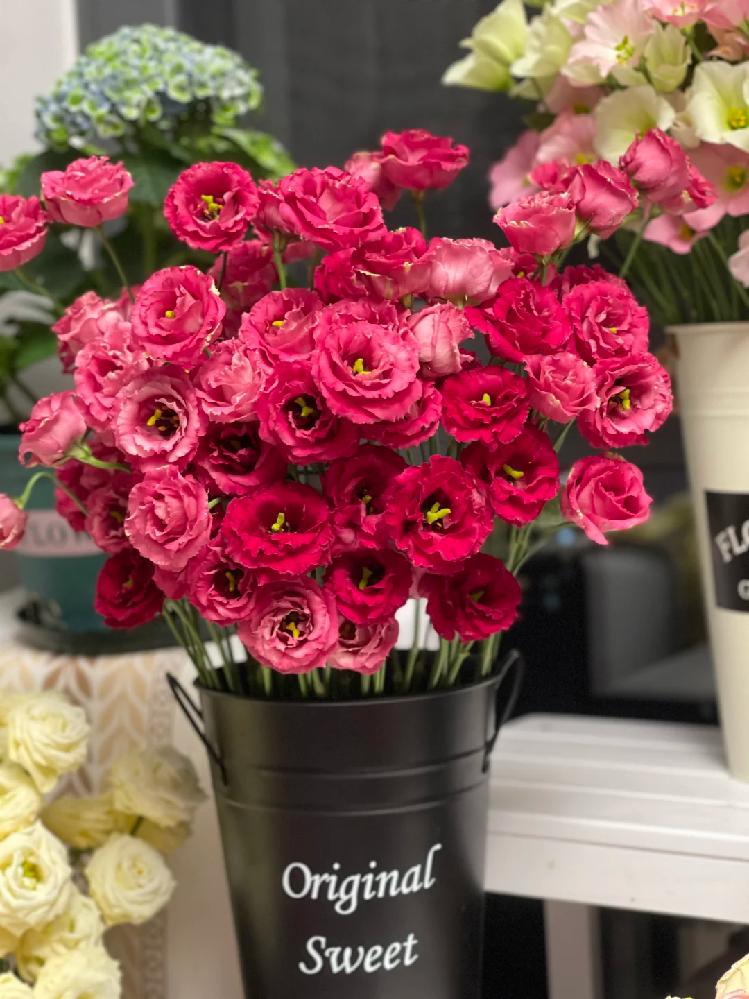 💐Lisianthus – Timeless Beauty, Everlasting Love💫