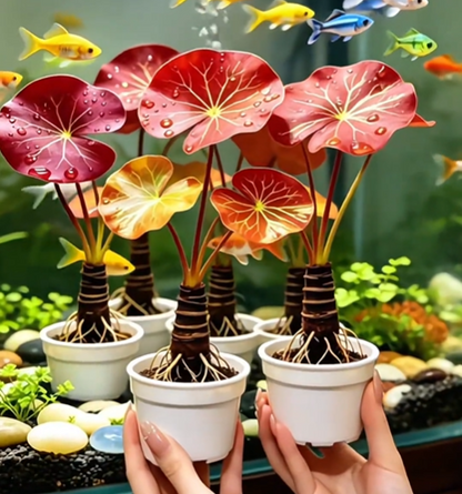 🐟Hydroponic red lotus roots🌿 Turn Your Aquarium into a Living Garden