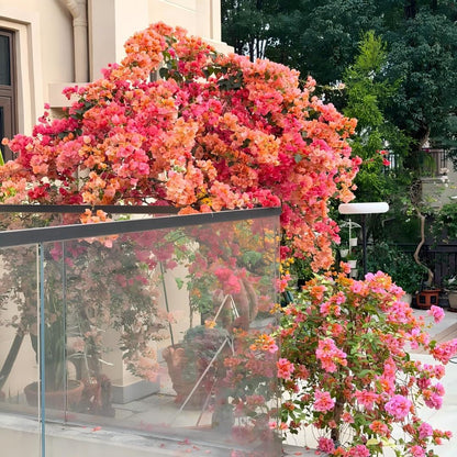 🌺 Bougainvillea Seeds-Bring Your Garden To Life