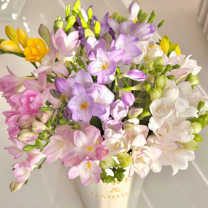 Freesia Bulbs-World-Famous Fragrance