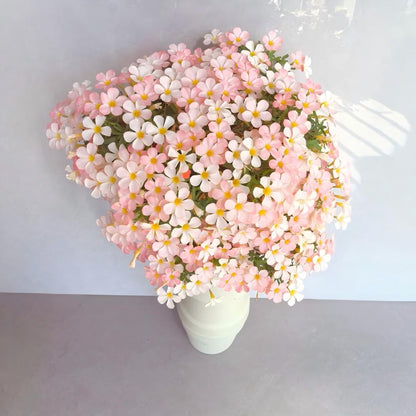 Rare Oxalis Collection — Tiny Seeds, Extraordinary Beauty