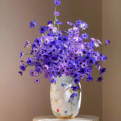 Cineraria Seeds-The Secret to a Garden Full of Color