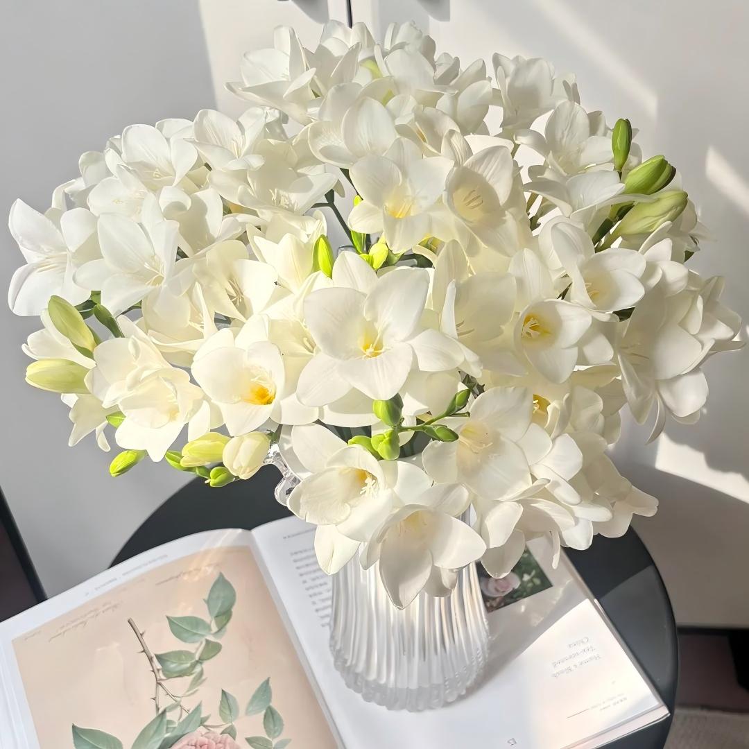 Freesia Bulbs-World-Famous Fragrance