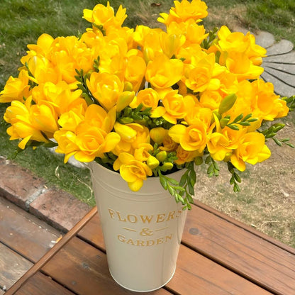 Freesia Bulbs-World-Famous Fragrance