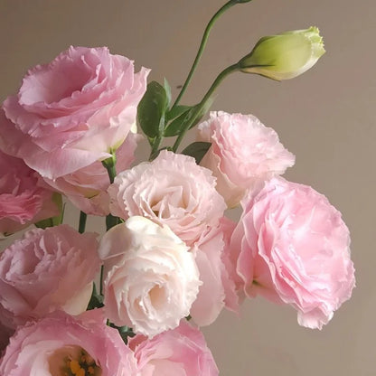 🔥Best-Selling Premium Lisianthus Seeds — Grow Elegant Blooms That Last Longer