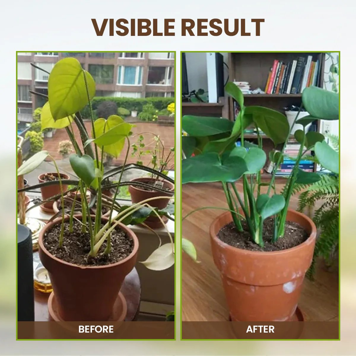 Soil Activator: Plants' Best Friend - Rejuvenate Your Plants