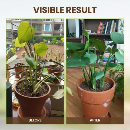 Soil Activator: Plants' Best Friend - Rejuvenate Your Plants