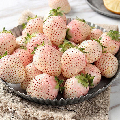 🍓 White Cream Strawberry Seeds – Grow Sweet, Creamy Strawberries at Home